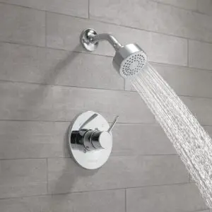Delta- Shower Trim