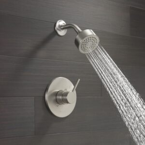 20260423_232346_w=2000,h=2000,fit=crop Delta- Shower Trim
