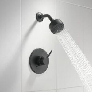 20260423_232349_w=2000,h=2000,fit=crop Delta- Shower Trim